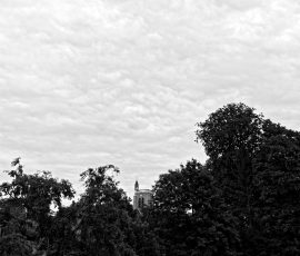 DSC_1531_DxO